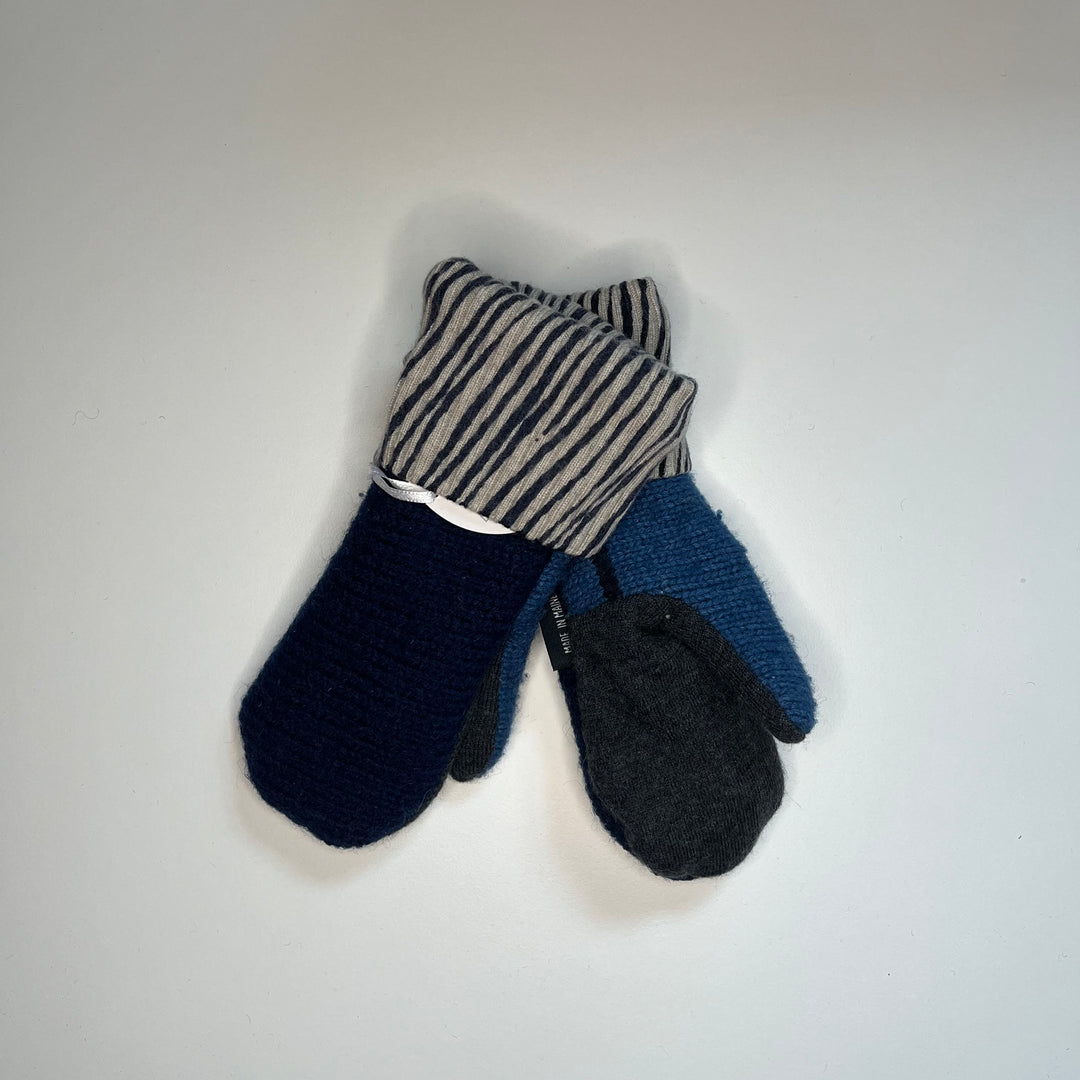 Blue & Zebra Stripe Mittens